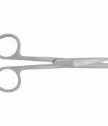 Image result for 8 Inch Blunt Nose Scissors