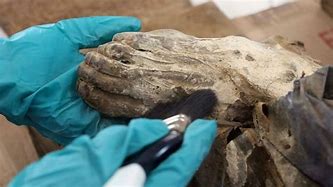 Image result for 9000 Year Old Mummy Found in Utah