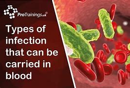 Image result for ‘Bacterial vampirism’ 