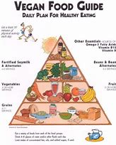 Image result for Vegan Food Pyramid