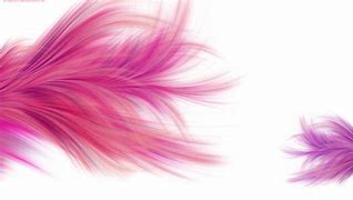 Image result for Pink Feather Wallpaper