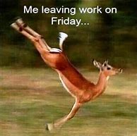 Image result for Busy Friday Meme