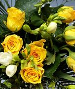 Image result for Romantic Yellow Roses
