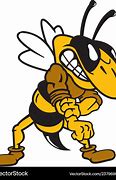 Image result for Yellow Jacket Logo