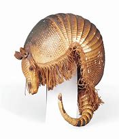 Image result for Armadillo Shell