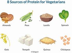 Image result for Protein for Vegetarians