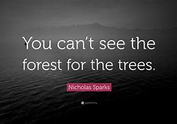 Image result for Can't See the Forest for the Trees