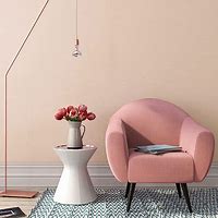 Image result for Rose Gold Paint Color Sherwin-Williams