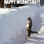 Image result for Happy Wednesday Day Meme