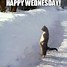 Image result for Wednesday Holiday Meme