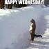 Image result for Happy Silly Wednesday Meme