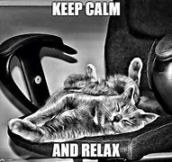 Image result for Relaxed Cat Meme