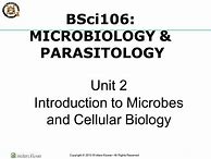 Image result for Cellular Biology