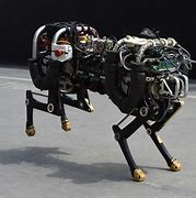 Image result for Real Robot Dog