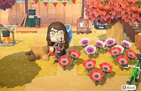 Image result for Animal Crossing New Horizons December Bugs