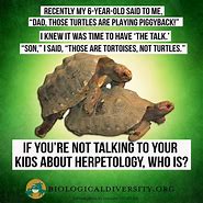 Image result for Herpetology Memes