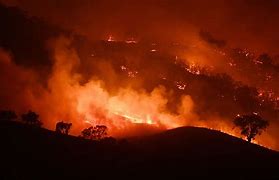 Image result for Australian Wildfires