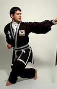 Image result for Kuk Sool Hapkido