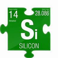 Image result for Silicon Cartoon