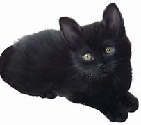 Image result for Cat Clip Art Black and White
