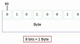 Image result for Byte Before and After Pics