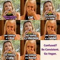 Image result for Vegan Quotes Meme