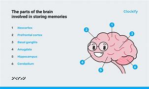 Image result for Uses of Memory Techniques
