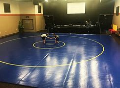 Image result for Wrestling Mats Olympic-size