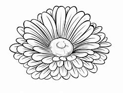 Image result for Black and White Daisy Flower Drawing