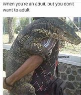 Image result for Reptile Memes