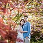 Image result for Netherlands Tulip Fields Wedding Photoshoot