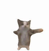 Image result for Excited Clapping Cat Meme