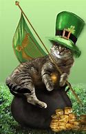 Image result for Irish Cat Meme