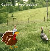 Image result for Foil Turkey Meme