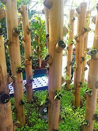 Image result for Bamboo Vertical Garden