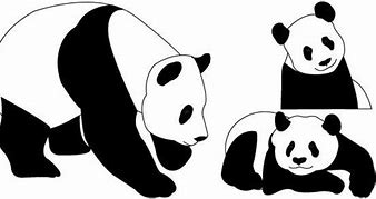 Image result for Panda Bear Stencil Black and White