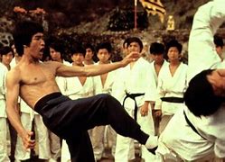 Image result for Kung Fu Movies List