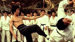 Image result for Japanese Kung Fu Movies
