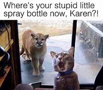 Image result for Spray Bottle Funny Meme