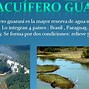 Image result for acufero