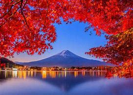 Image result for Place to Visit in Tokyo during Autumn