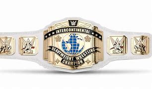 Image result for WWE Belt Case