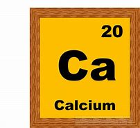 Image result for Calcium Charge