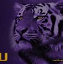 Image result for The Tiger of LSU