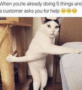 Image result for Automated Coustomer Service Cat Meme