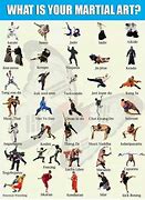 Image result for Different Types of Fighting Styles