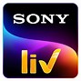 Image result for Sony TV New Logo