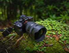 Image result for Sony Alpha 6400L