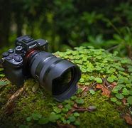 Image result for Sony Alpha A5
