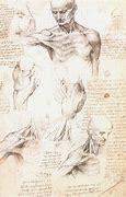 Image result for DaVinci Drawings Inventions